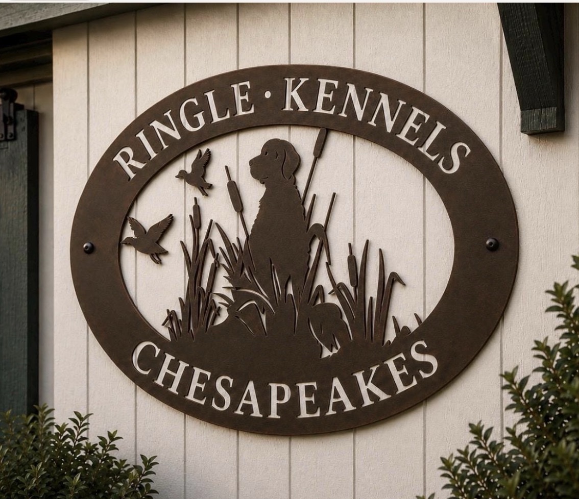Metal Sign with hunting dog and ducks in grass customized with your name