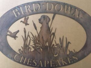 Metal DOG Sign  personalized with  hunting dog silhouette