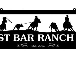 ST Bar driveway topper w Hayward